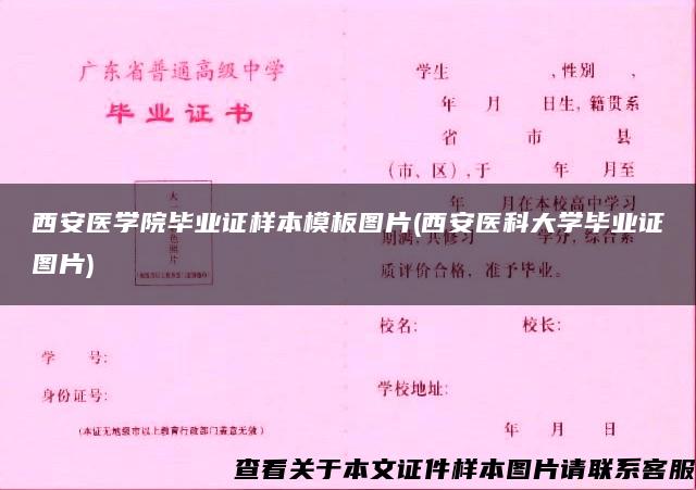 西安医学院毕业证样本模板图片(西安医科大学毕业证图片)