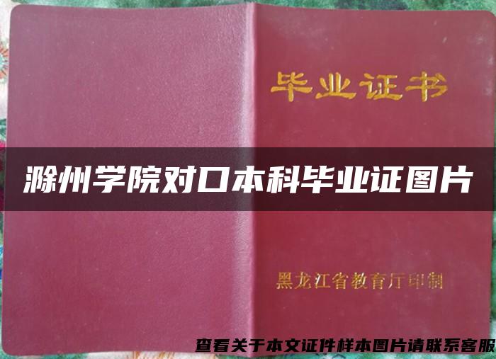 滁州学院对口本科毕业证图片