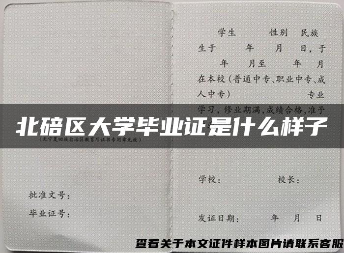 北碚区大学毕业证是什么样子