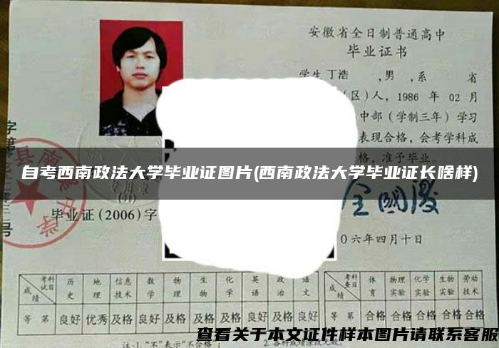 自考西南政法大学毕业证图片(西南政法大学毕业证长啥样)