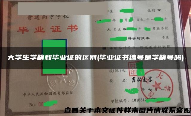 大学生学籍和毕业证的区别(毕业证书编号是学籍号吗)