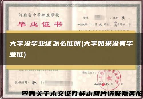 大学没毕业证怎么证明(大学如果没有毕业证)