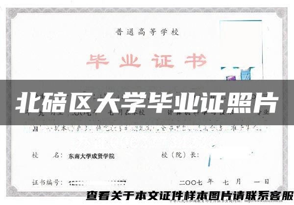 北碚区大学毕业证照片