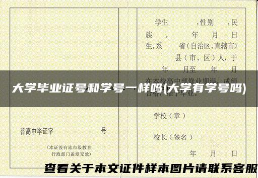 大学毕业证号和学号一样吗(大学有学号吗)