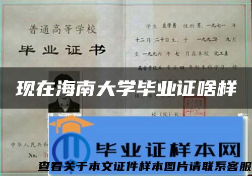 现在海南大学毕业证啥样