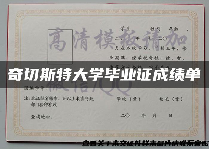 奇切斯特大学毕业证成绩单