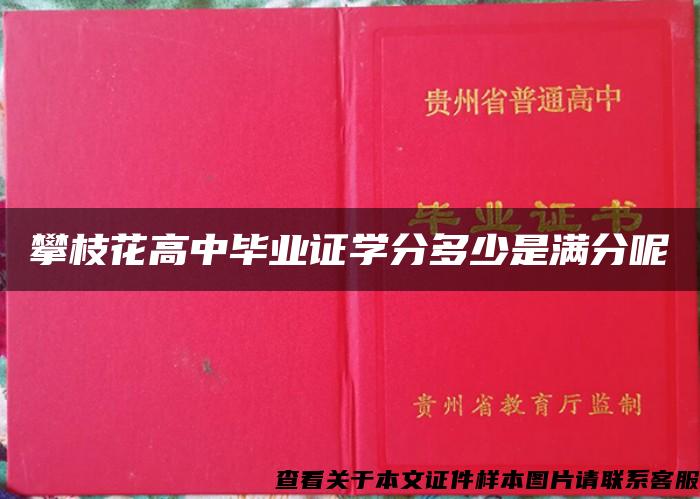 攀枝花高中毕业证学分多少是满分呢