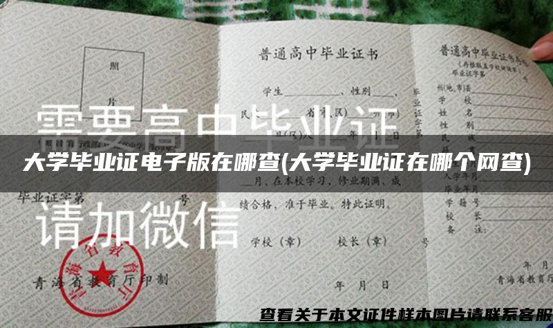 大学毕业证电子版在哪查(大学毕业证在哪个网查)