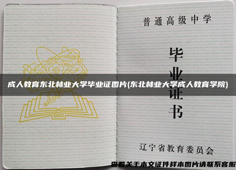 成人教育东北林业大学毕业证图片(东北林业大学成人教育学院)