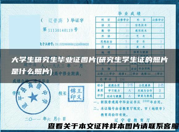 大学生研究生毕业证图片(研究生学生证的照片是什么照片)