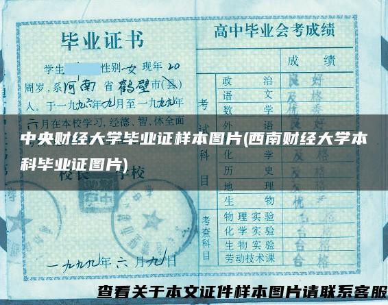 中央财经大学毕业证样本图片(西南财经大学本科毕业证图片)