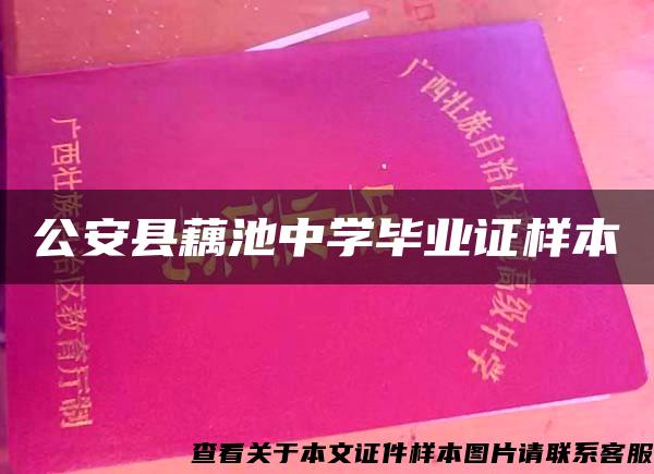 公安县藕池中学毕业证样本