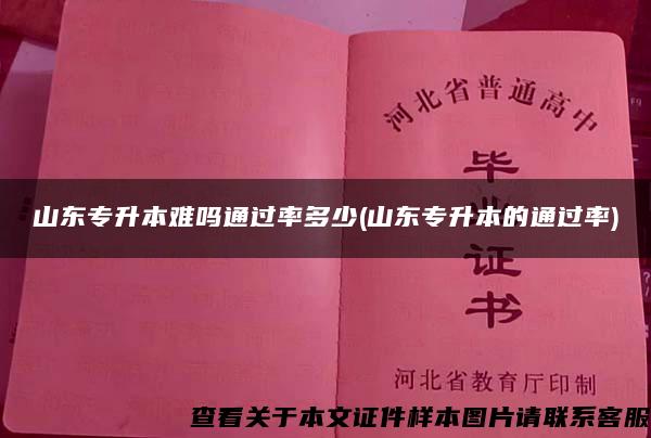 山东专升本难吗通过率多少(山东专升本的通过率)