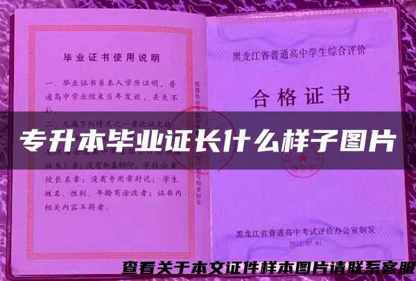 专升本毕业证长什么样子图片