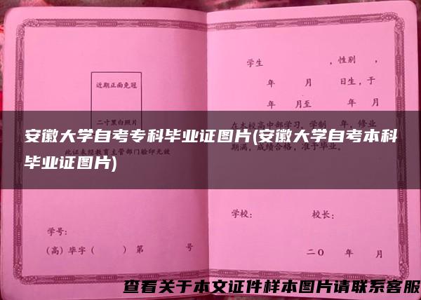 安徽大学自考专科毕业证图片(安徽大学自考本科毕业证图片)