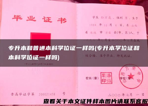 专升本和普通本科学位证一样吗(专升本学位证和本科学位证一样吗)