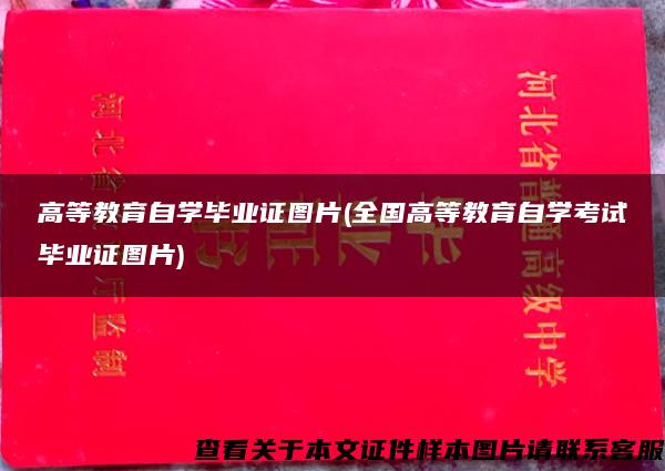 高等教育自学毕业证图片(全国高等教育自学考试毕业证图片)