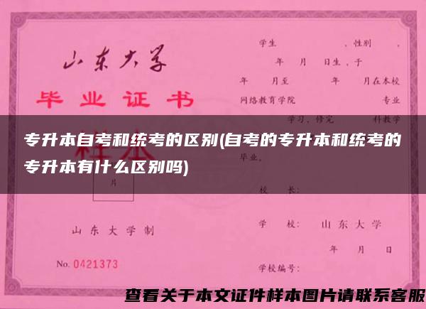 专升本自考和统考的区别(自考的专升本和统考的专升本有什么区别吗)