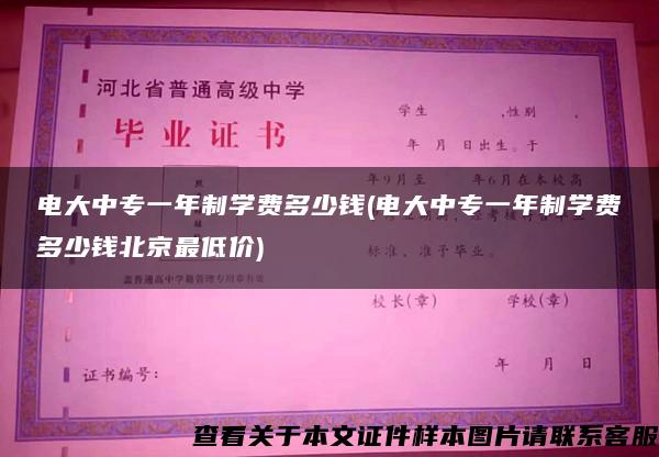 电大中专一年制学费多少钱(电大中专一年制学费多少钱北京最低价)