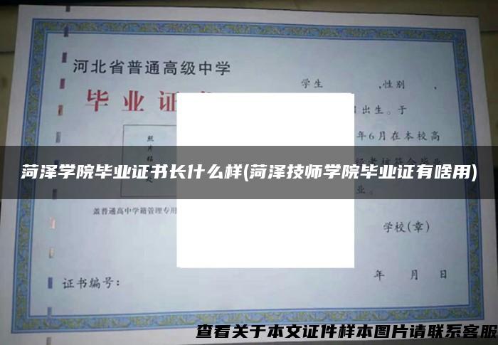 菏泽学院毕业证书长什么样(菏泽技师学院毕业证有啥用)