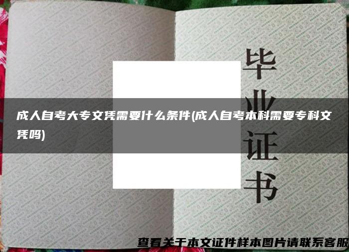 成人自考大专文凭需要什么条件(成人自考本科需要专科文凭吗)