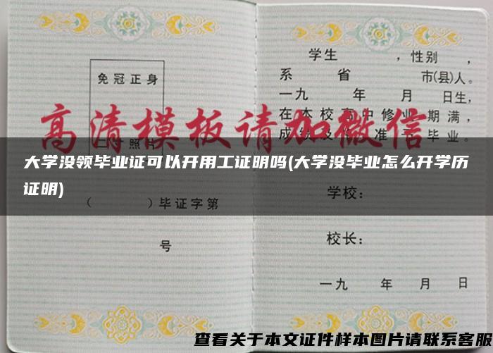 大学没领毕业证可以开用工证明吗(大学没毕业怎么开学历证明)