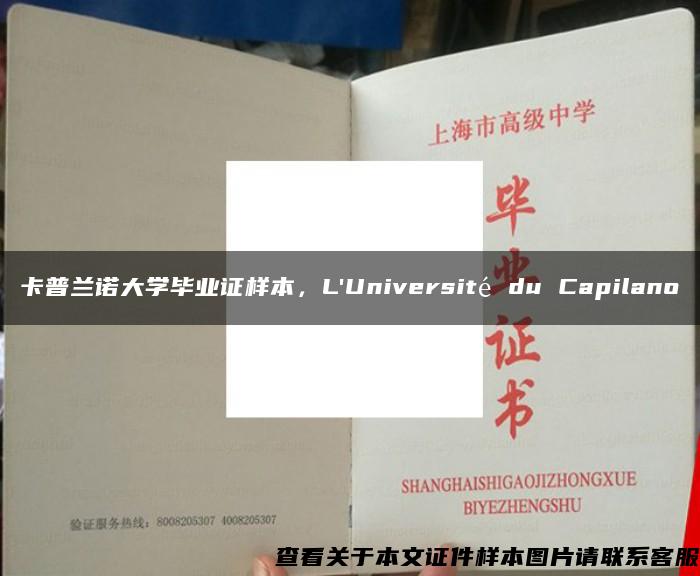 卡普兰诺大学毕业证样本，L