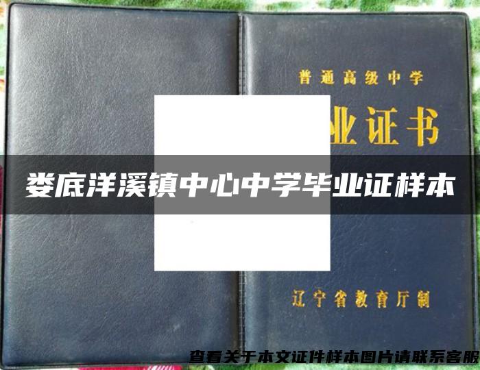 娄底洋溪镇中心中学毕业证样本