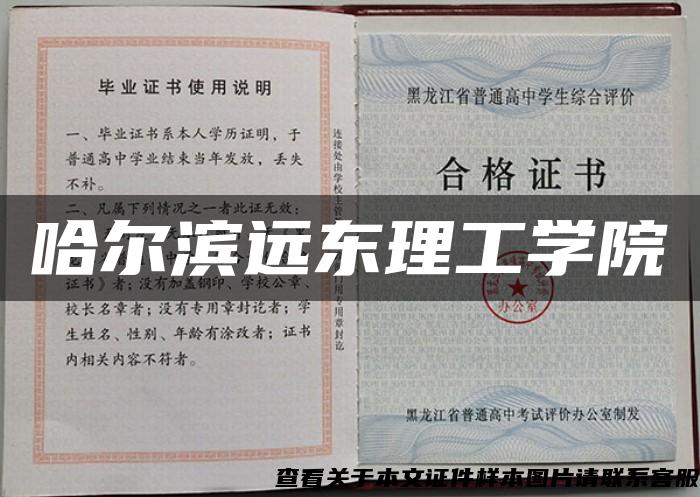 哈尔滨远东理工学院