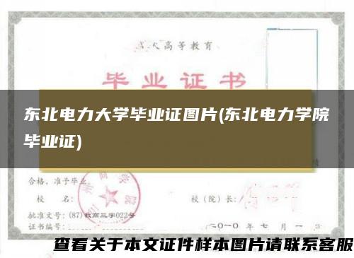 东北电力大学毕业证图片(东北电力学院毕业证)