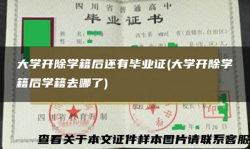 大学开除学籍后还有毕业证(大学开除学籍后学籍去哪了)