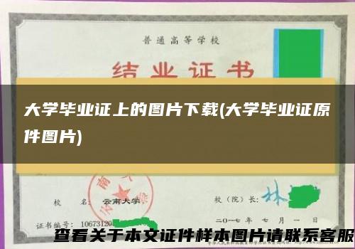 大学毕业证上的图片下载(大学毕业证原件图片)