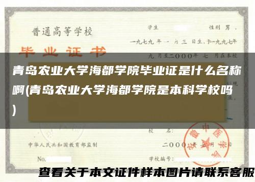 青岛农业大学海都学院毕业证是什么名称啊(青岛农业大学海都学院是本科学校吗)