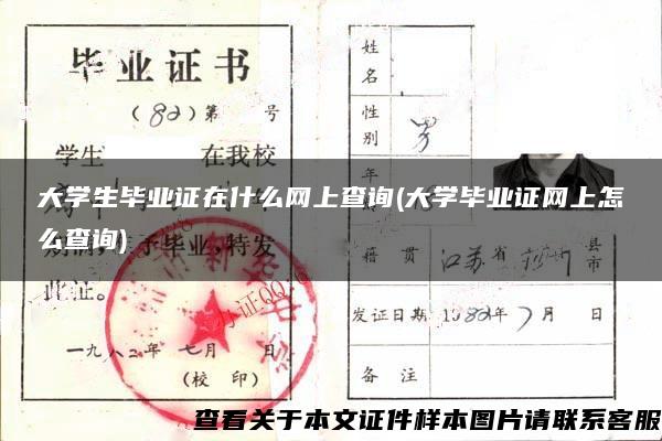 大学生毕业证在什么网上查询(大学毕业证网上怎么查询)