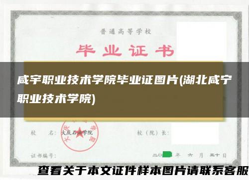 咸宇职业技术学院毕业证图片(湖北咸宁职业技术学院)