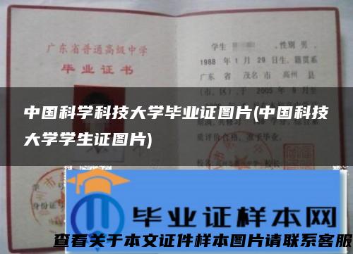 中国科学科技大学毕业证图片(中国科技大学学生证图片)