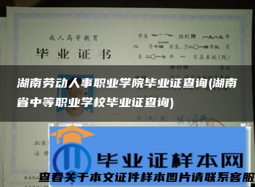 湖南劳动人事职业学院毕业证查询(湖南省中等职业学校毕业证查询)