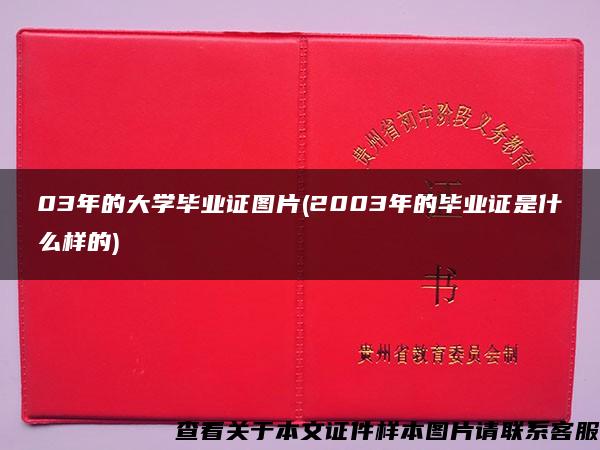 03年的大学毕业证图片(2003年的毕业证是什么样的)