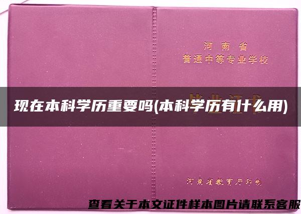 现在本科学历重要吗(本科学历有什么用)