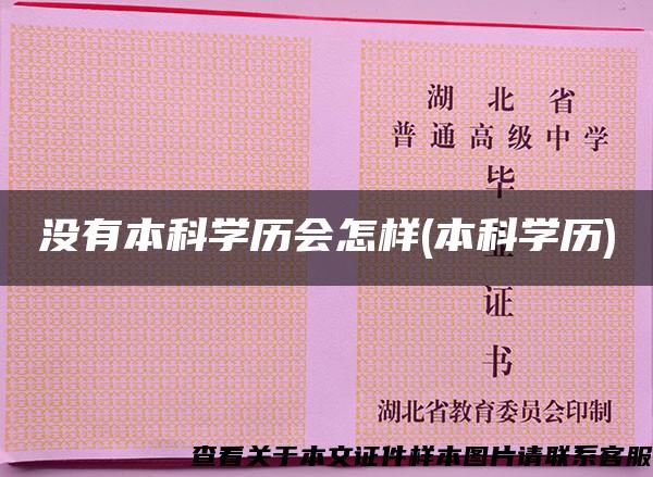 没有本科学历会怎样(本科学历)