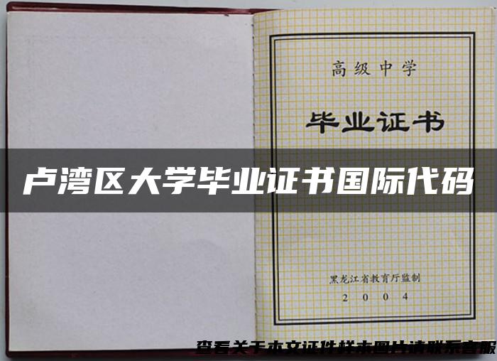 卢湾区大学毕业证书国际代码