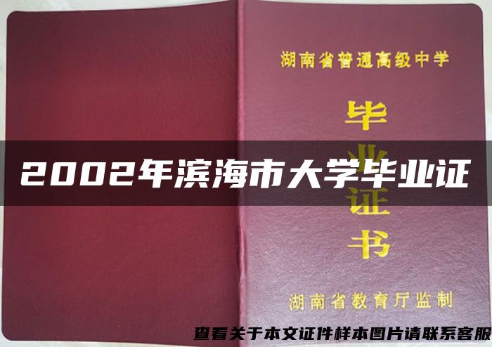 2002年滨海市大学毕业证