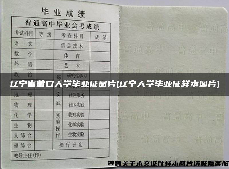 辽宁省营口大学毕业证图片(辽宁大学毕业证样本图片)