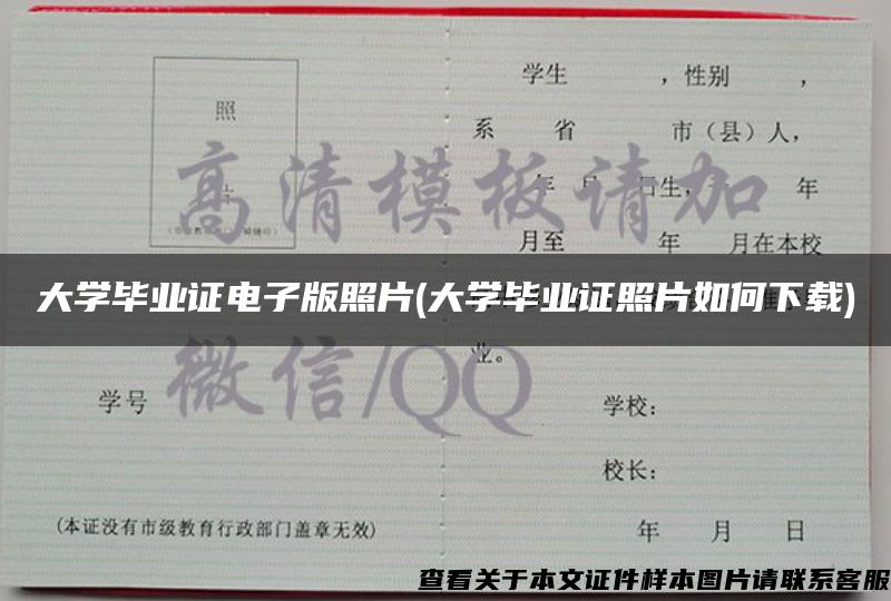 大学毕业证电子版照片(大学毕业证照片如何下载)