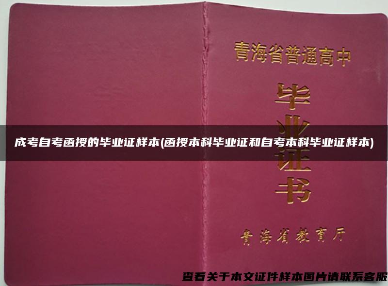 成考自考函授的毕业证样本(函授本科毕业证和自考本科毕业证样本)