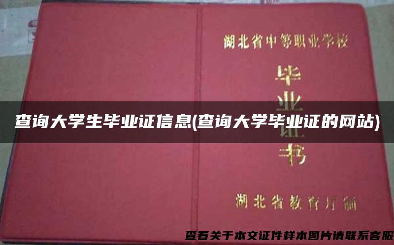 查询大学生毕业证信息(查询大学毕业证的网站)