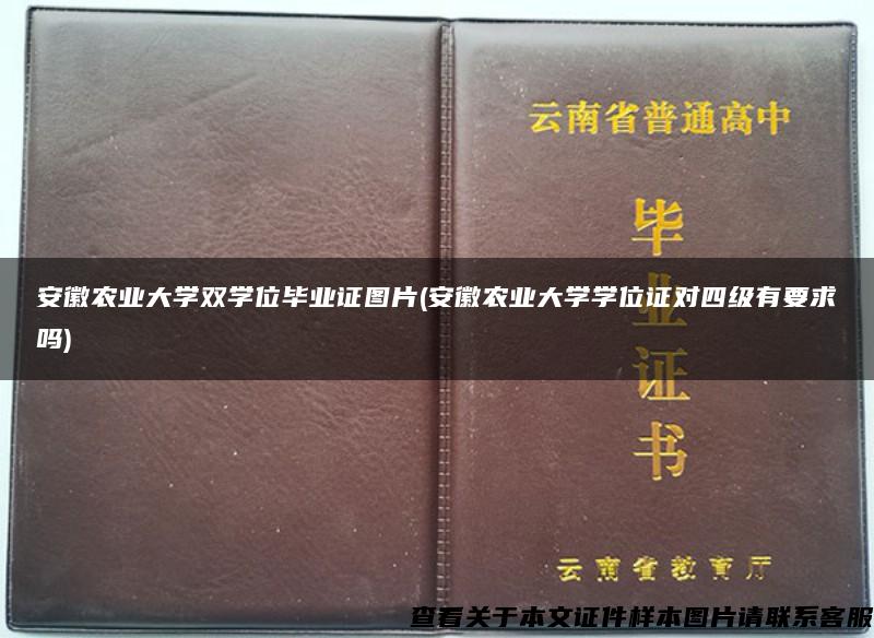 安徽农业大学双学位毕业证图片(安徽农业大学学位证对四级有要求吗)