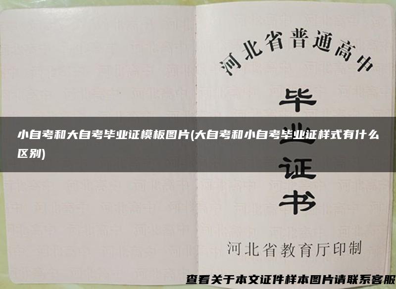 小自考和大自考毕业证模板图片(大自考和小自考毕业证样式有什么区别)