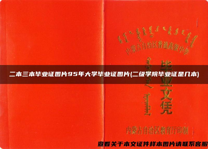 二本三本毕业证图片95年大学毕业证图片(二级学院毕业证是几本)