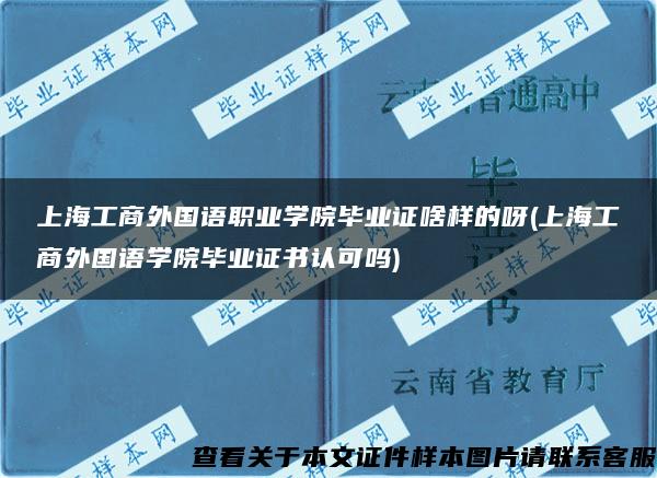 上海工商外国语职业学院毕业证啥样的呀(上海工商外国语学院毕业证书认可吗)